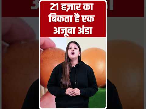 करोड़ों में नहीं अरबों में है यह अजूबा अंडा, कीमत – 21 हज़ार में एक..STAR TV  BIHAR